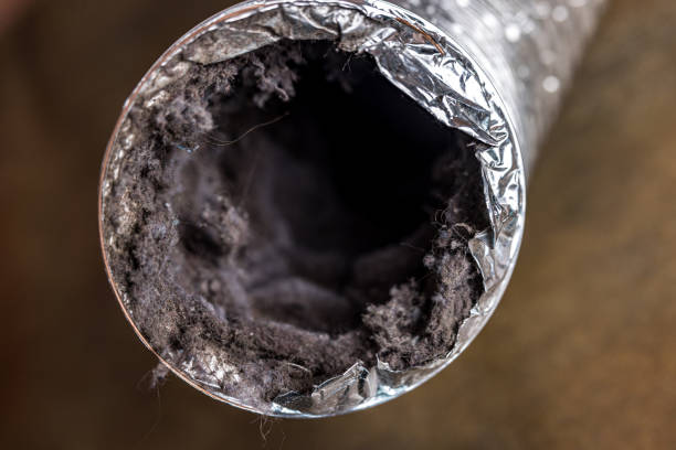 Best Ventilation Cleaning Services  in Raven, VA