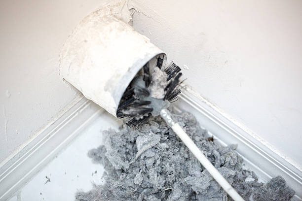 Best Local Air Duct Cleaning Services  in Raven, VA